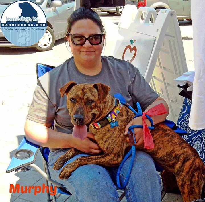 Barrio Dogs, Inc. tweet media