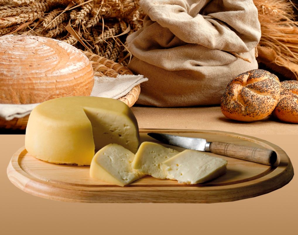 Degusta el sabor de una tradición que lleva con nosotros desde siempre.
Pídenos información sobre nuestros #quesos.