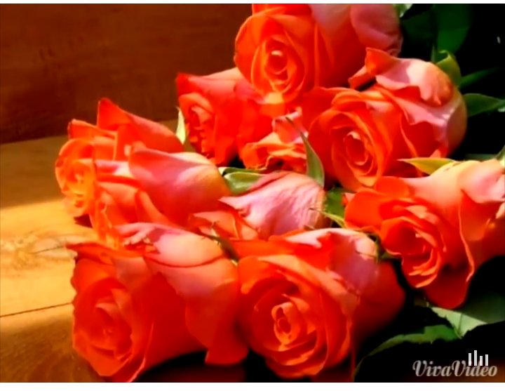 kij95 tweet picture