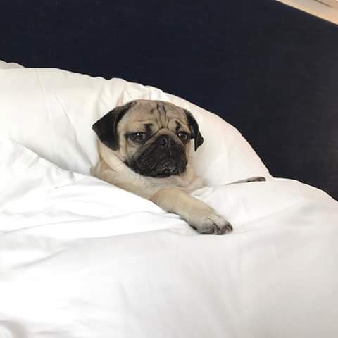 oficialov3's tweet photo. como eu queria ta no frio / como eu to https://t.co/TKcjQd2reG