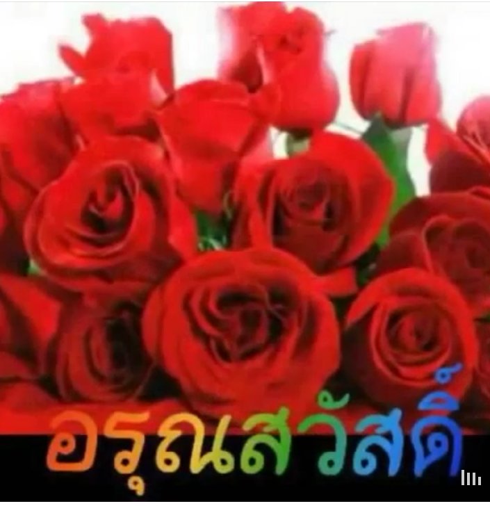 kij95 tweet picture