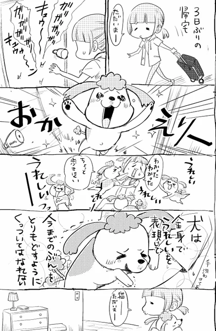 犬と猫どっちも飼ってると、おかえりなさいのパレードが毎日たのしい 