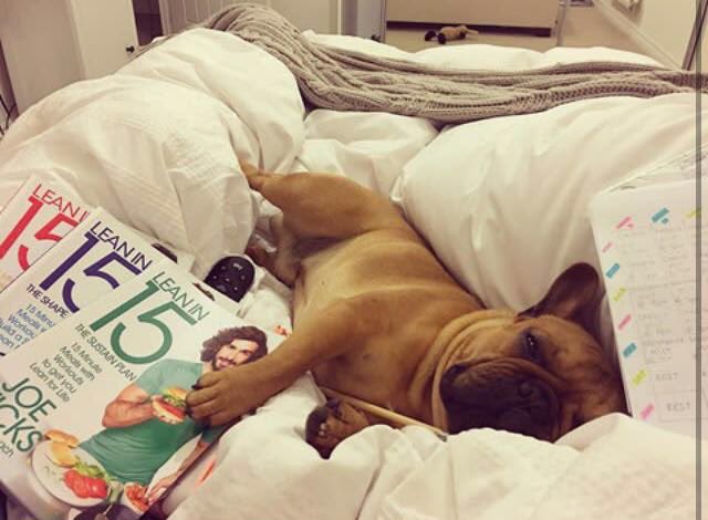 rodneythenipper's tweet photo. Plotting exercise routines. Getting the gains before boss lad goes to the US of A. Wants to show the muscles. Jouve. Green Tea. Good sleep. https://t.co/NVuUsM05QH