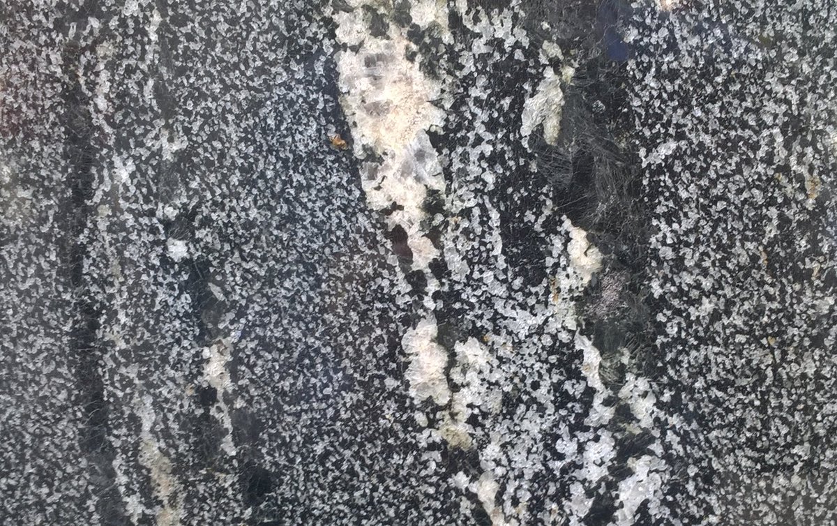 The Rock Library tweet media