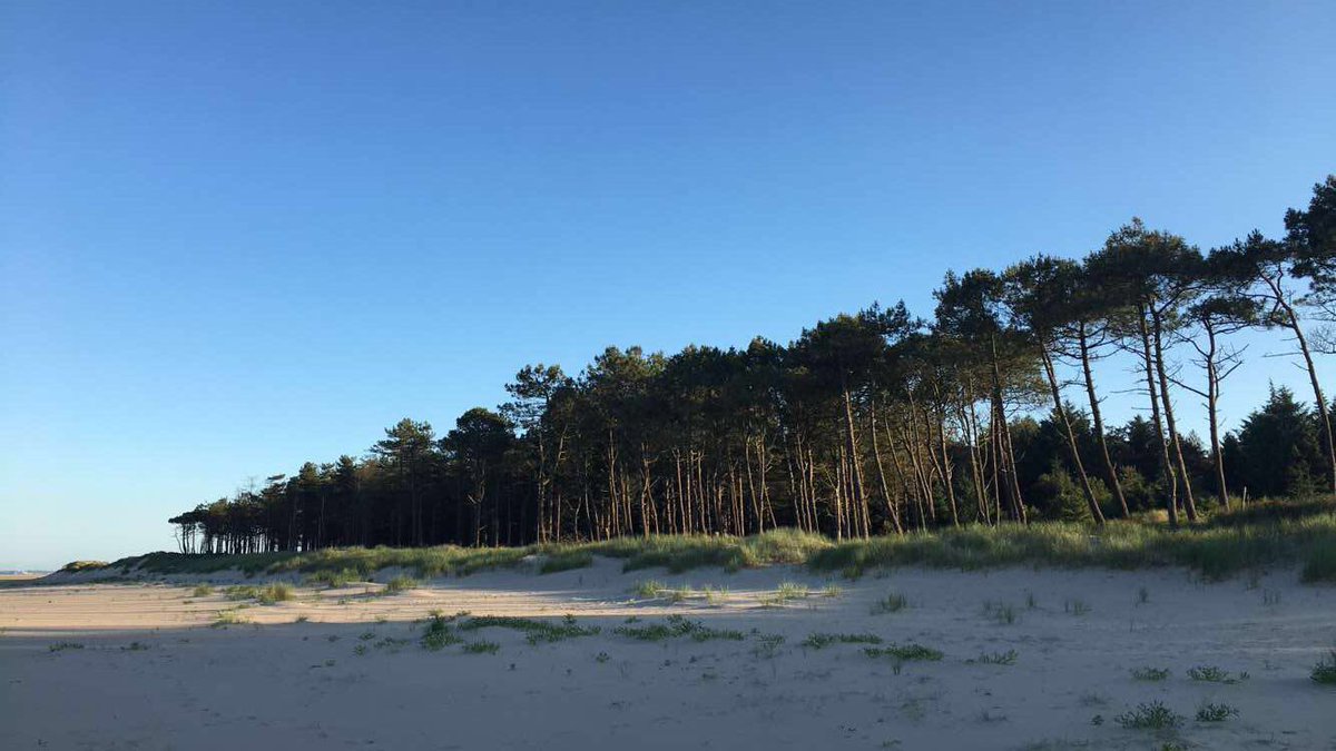 barryde78's tweet photo. It has to be one of the best places in #ireland to run #Ravenpoint #curracloe #wexford 😃😃 almost looks like another country @deric_hartigan https://t.co/vQ2bQ62Epf