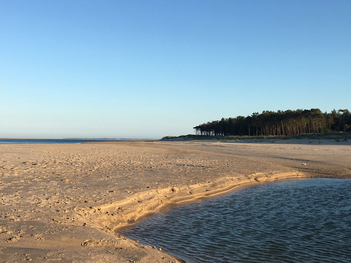 barryde78's tweet photo. It has to be one of the best places in #ireland to run #Ravenpoint #curracloe #wexford 😃😃 almost looks like another country @deric_hartigan https://t.co/vQ2bQ62Epf