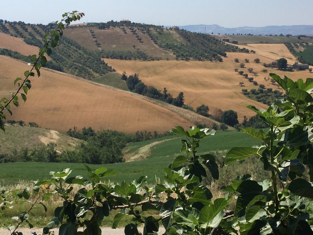 Andrew Orsatti tweet media