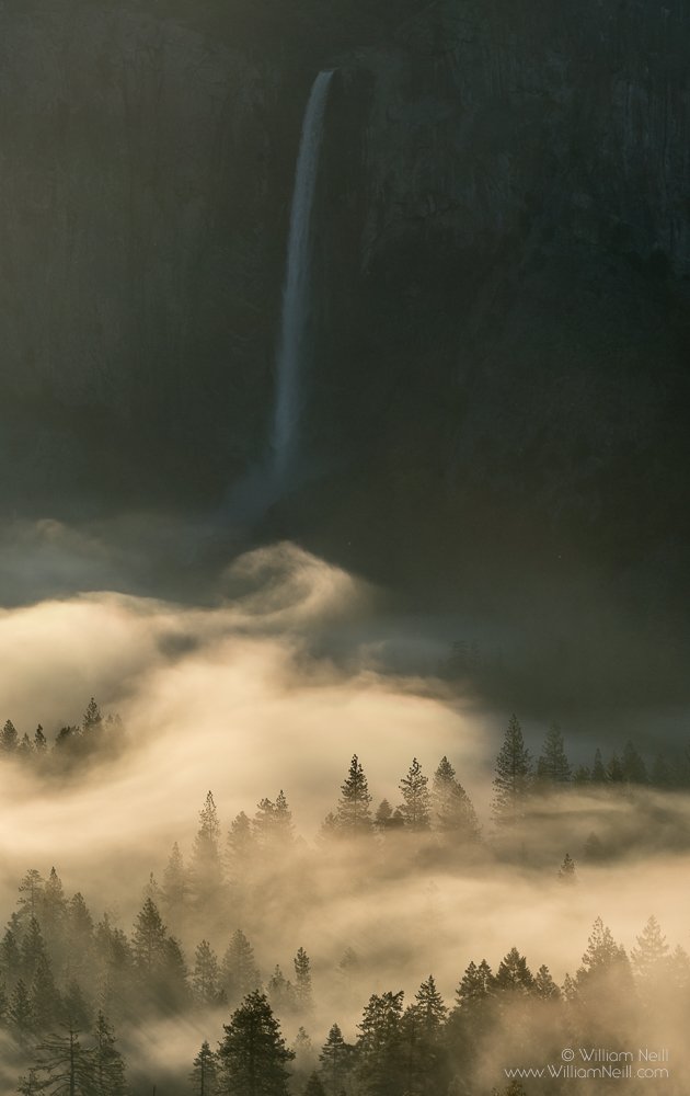 wgneill's tweet image. Playing around in Adobe Photoshop Lightroom with images from Yosemite National Park taken on May 9, 2016.
Epic morning... #Yosemite