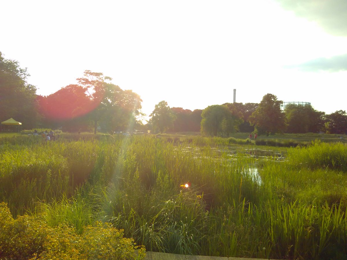 HangingPuppet's tweet photo. Pics fom @CRSummerofLove at @WandlePark. Great way to unwind after work today. Yes, this is #Croydon. https://t.co/3ubBYWUX83