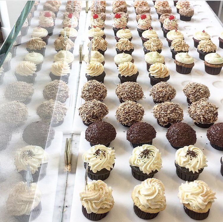 trophycupcakes's tweet photo. Saturday is made for sunshine and all of the cupcakes. 📷: @cakejarsproject #trophylife #makeeverydayaparty #seattlesweets #seattlemade https://t.co/WR3eo8ZoSZ