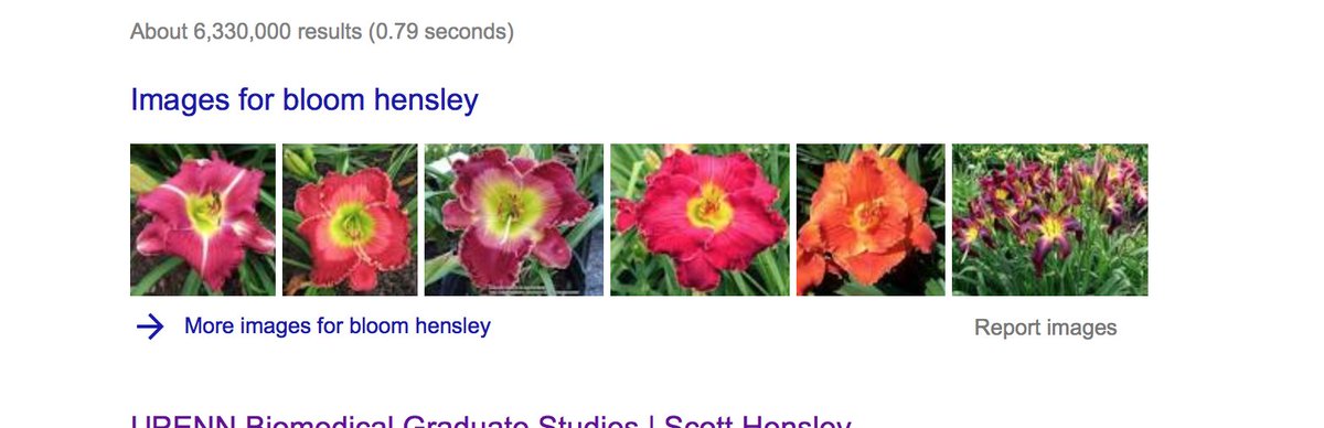 SCOTTeHENSLEY's tweet photo. I googled 'bloom hensley' because I wanted to pull the recent Doud @PLOSPathogens ms. Check out google images result...#goodcollaboration https://t.co/WBXSxh94m3