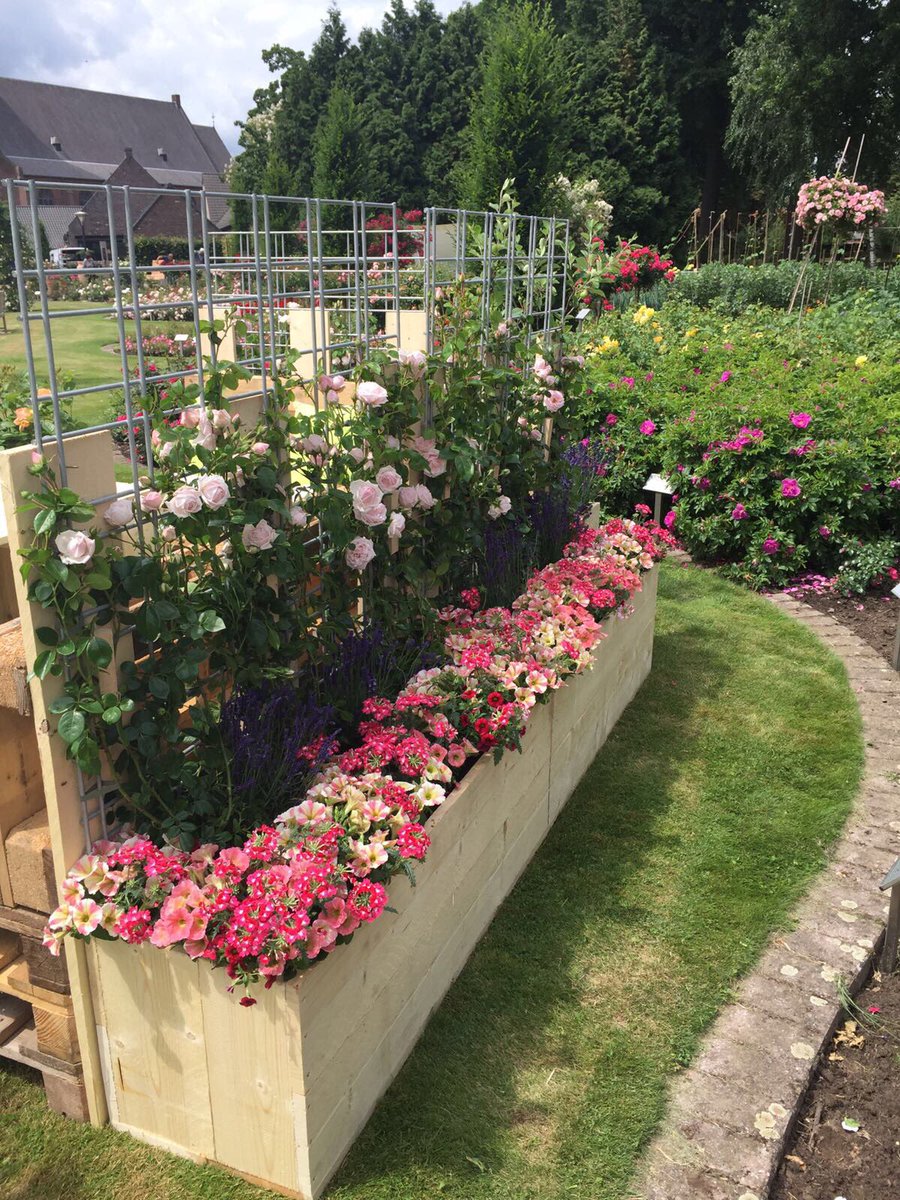 OutdoorRoses's tweet photo. Presentatie opgebouwd in de @derozenhoflottum voor de week van de #potroos #potrozenshow dit is van 18 tot 25 juni #roos #roses #lottum https://t.co/MiwaDvSHhY
