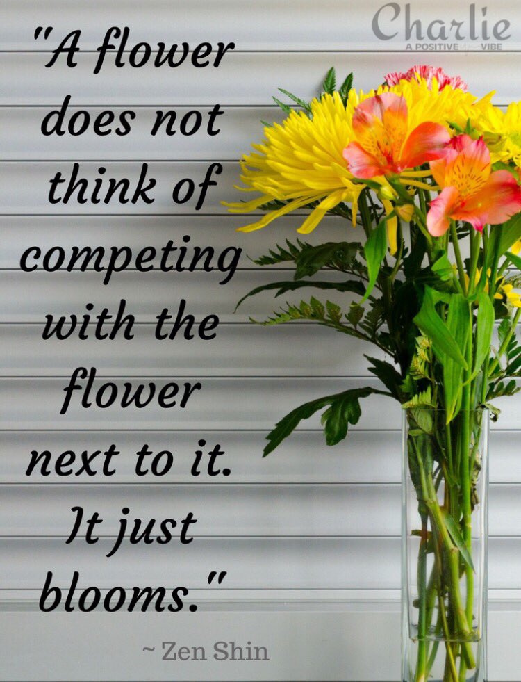 PositiveCharles's tweet photo. A flower does not think of competing to the flower next to it. It just blooms. ~Zen Shin  #JoyTrain #SuccessTRAIN #ThinkBIGSundayWithMarsha https://t.co/AhTSfzBLwL