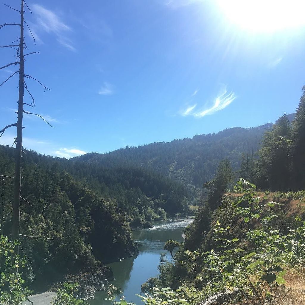 RT+@itsbeansyo I did a thing &amp; climbed ~2000 ft in 12 hrs. On 40 mins sleep. #wildroguerelay #runningourhasselhoff …ift.tt/2sd8hGm