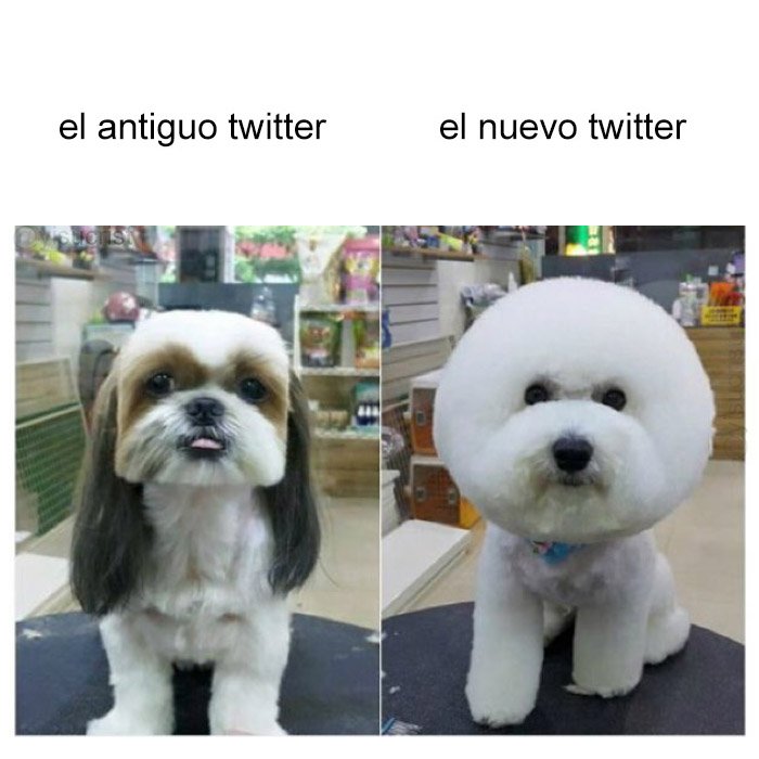 t exaremos d menos bro