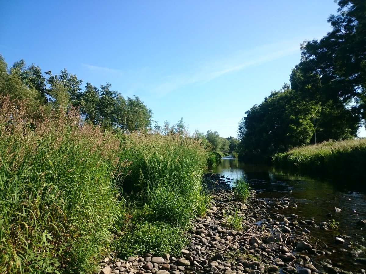 SilverfernArt's tweet photo. Such a gorgeous day today! #summer https://t.co/LqKS96maAr