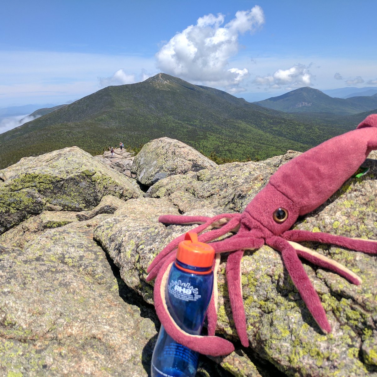 SquidMeets's tweet photo. Squid hikes Mount Liberty. #squidmeetsworld #whitemountains #Travel  #heatwave https://t.co/worzeXM2dZ