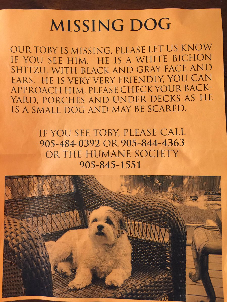 Betteronabeach's tweet photo. Lost dog. Please retweet in #oakville area! Call #s in pic or @OakvilleHumane @OakvilleBeaver https://t.co/UblzxxVGb7