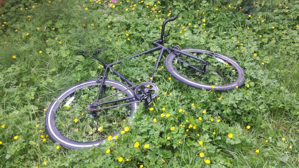 VelofixFV's tweet photo. We spotted a #moosebicycle frolicking in the flowers this morning https://t.co/cSLjdaa9rw