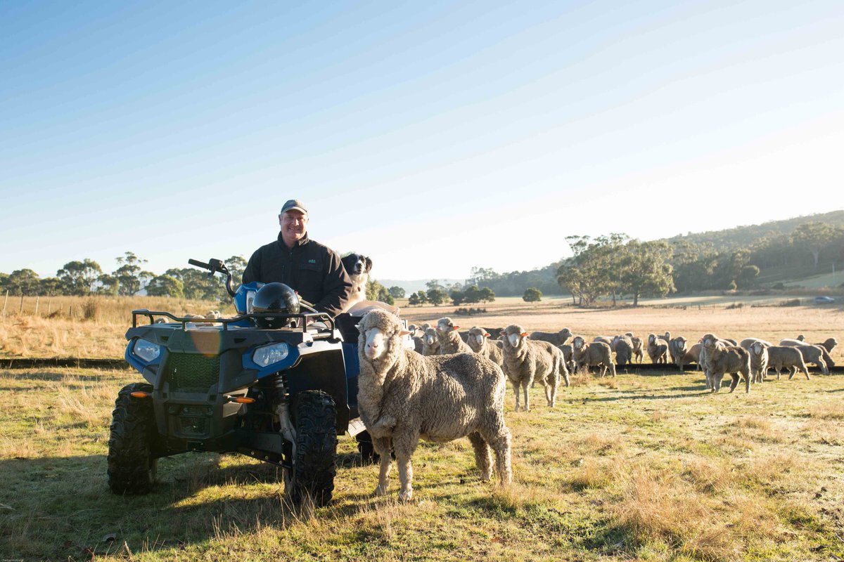 Danny Bain - woolgrower, island dweller, animal lover.
#thetruthaboutwool #brunyisland #wool #sheep @Sheep_365 #agchatoz @woolinnovation
