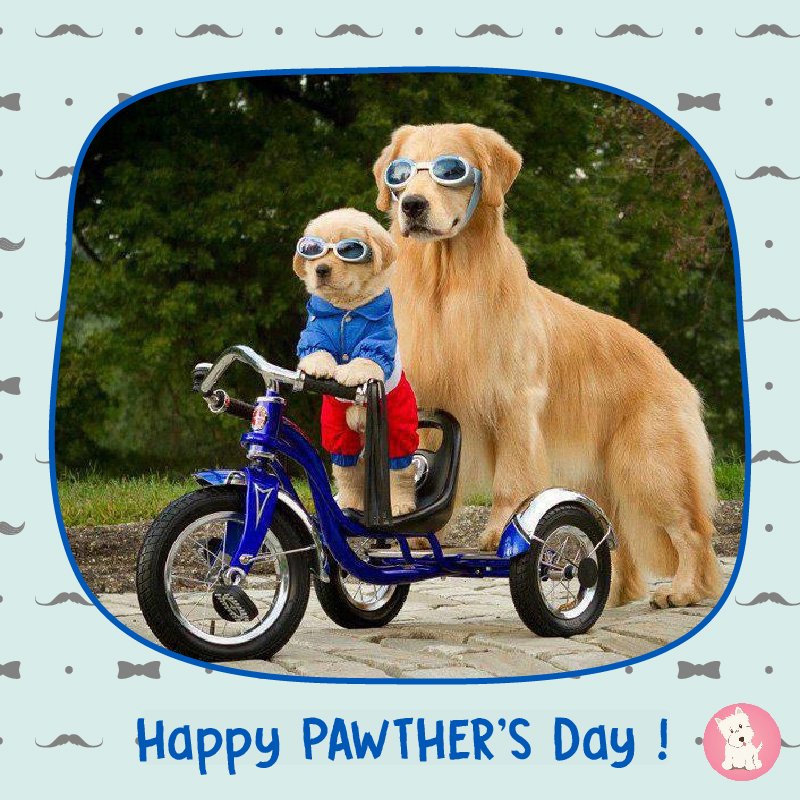 whatspup_'s tweet photo. A son’s first hero and a girl’s first love, wishing all the Dads a very Happy Father’s Day. https://t.co/iaLhy8rkEJ