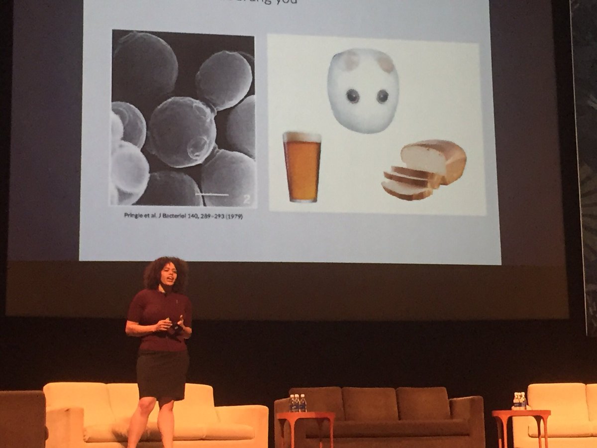 mm_roca's tweet photo. International collaboration  is redefining the way we do science, from  USA to Europe to China and Mexico #sb7conf https://t.co/9Ihpvublot