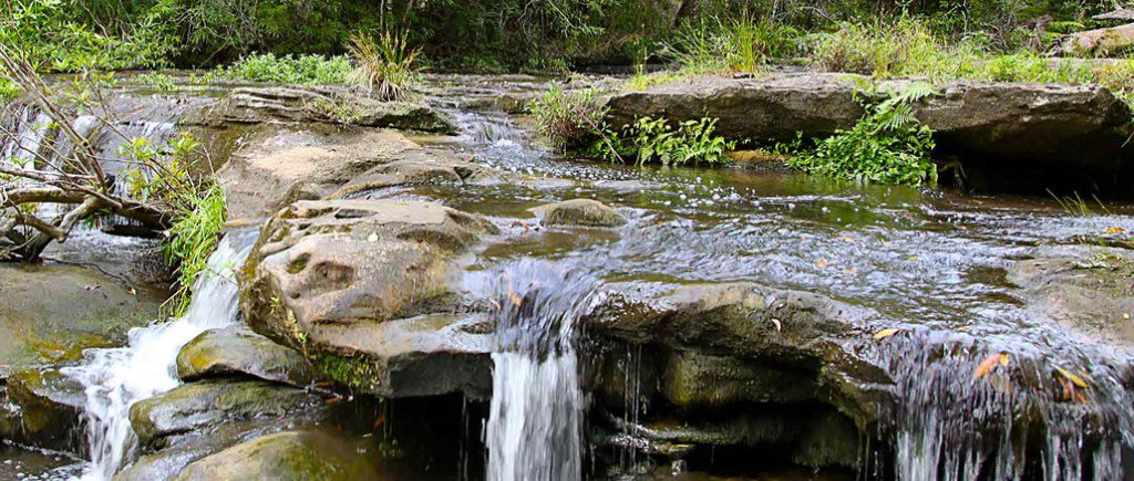 KGEXnews's tweet photo. Expansion of Garigal National Park https://t.co/BzAHRbeksa https://t.co/VdmmfF2fkh