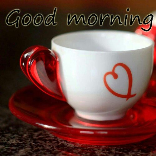 vohra3585's tweet photo. Good morning https://t.co/Czc5W458TW