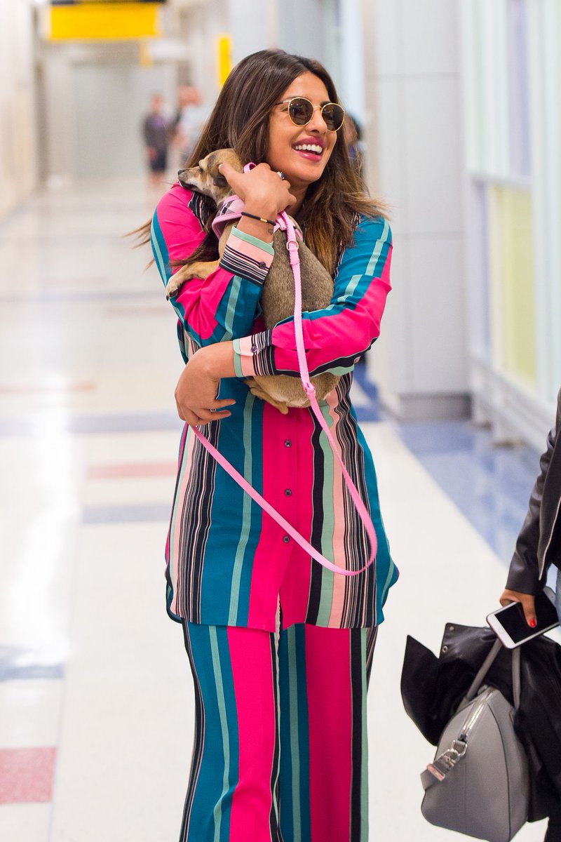 Priyanka-Chopra.us on Twitter: "Priyanka with her dog Diana in NYC