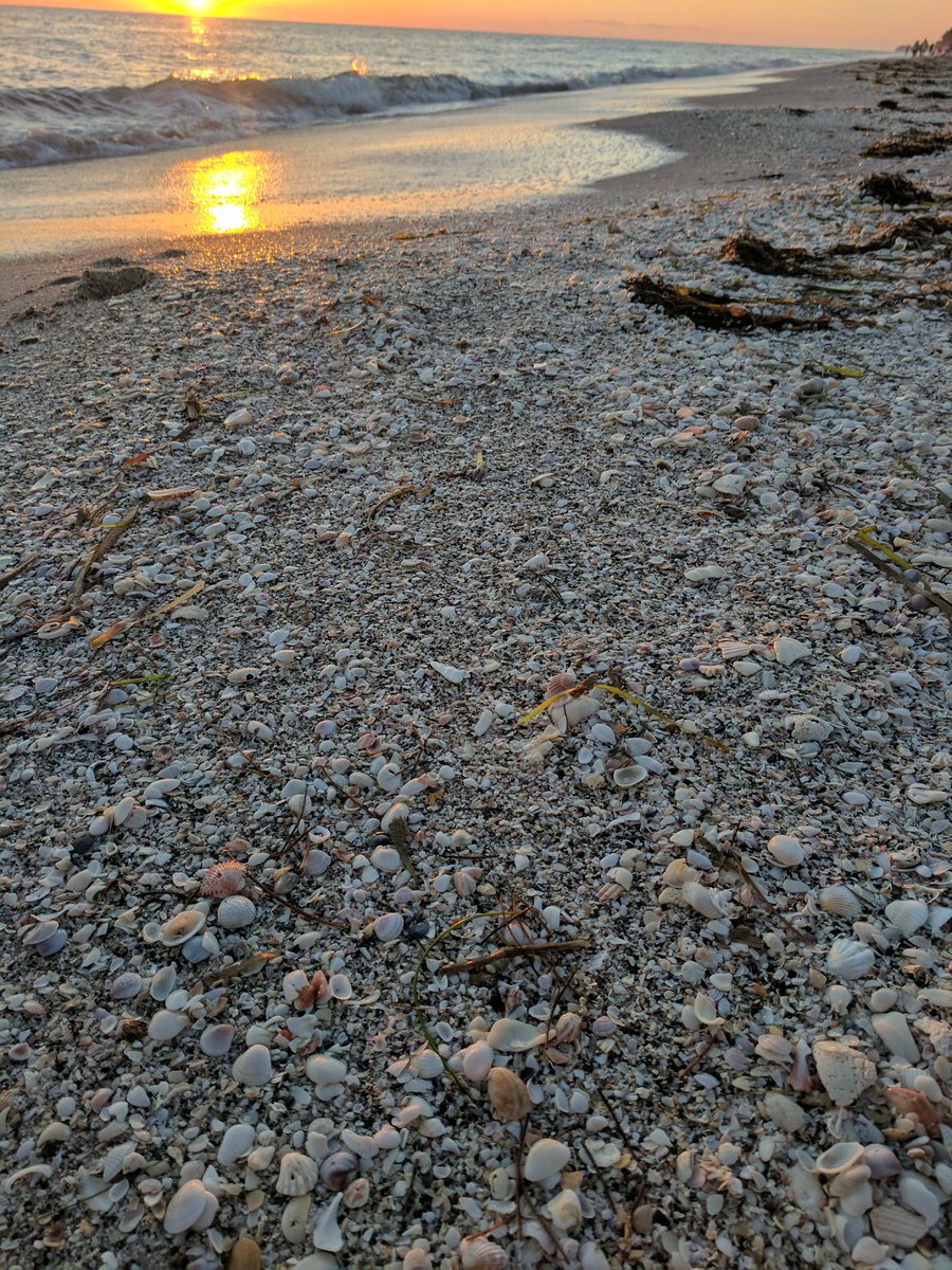 focusedselfhelp's tweet photo. When I looked down I saw only one set of footprints. I found solace because it was that moment I realized God is me, I am him, we are one. https://t.co/ztrPRppTWx