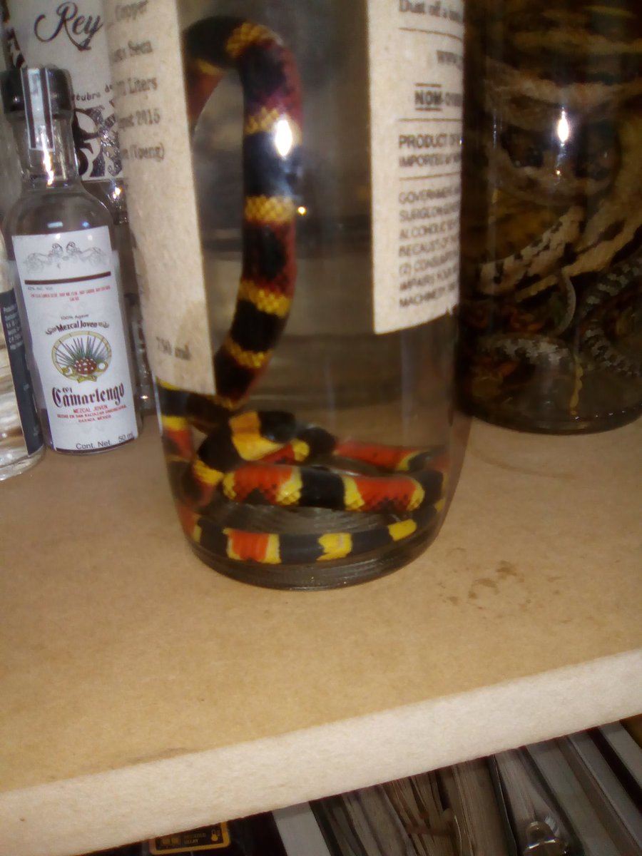 Ericel52821895's tweet image. Me #Devoro este mezcal