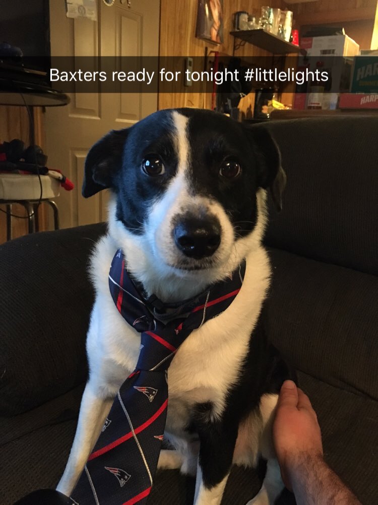 NerfNicole's tweet photo. Baxter and kyle are about to take over the 24 hour st Jude @GuardianCon satellite stream! #lightlights https://t.co/bd7h8yzCBR https://t.co/Ag5SCKJXxj