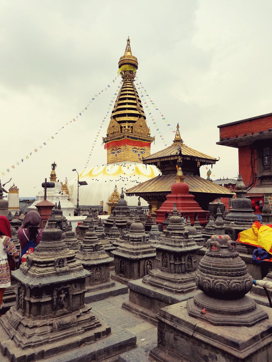 chefrick325's tweet photo. Monkey Temple https://t.co/db8X6c3wpK