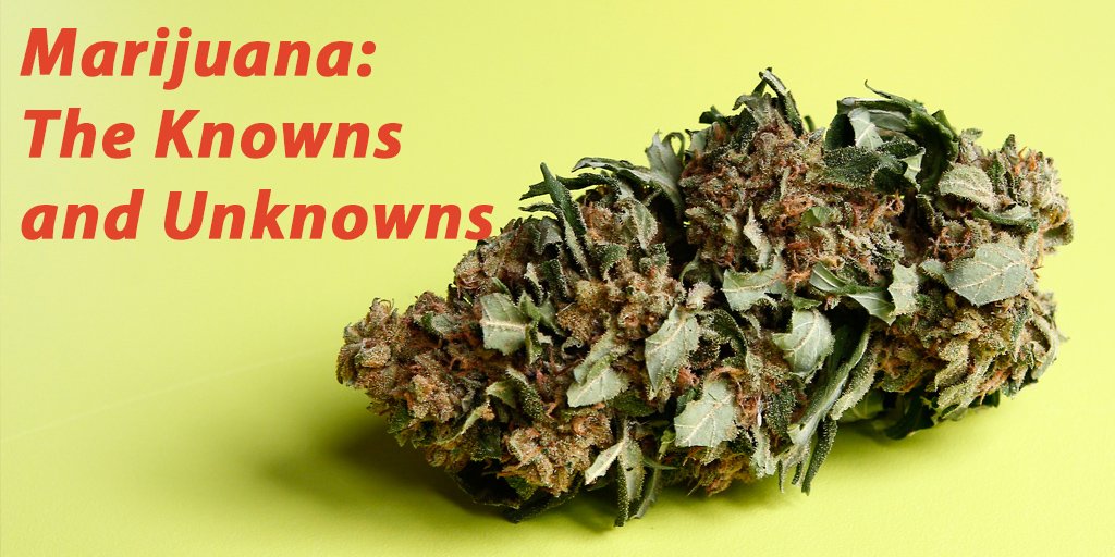SmokePipeShop's tweet photo. The Knowns and Unknowns of Weed! Learn Something You Didn't Know Here - https://t.co/7jUGpkM7G1 #SPShop https://t.co/fiCN8bQa5w