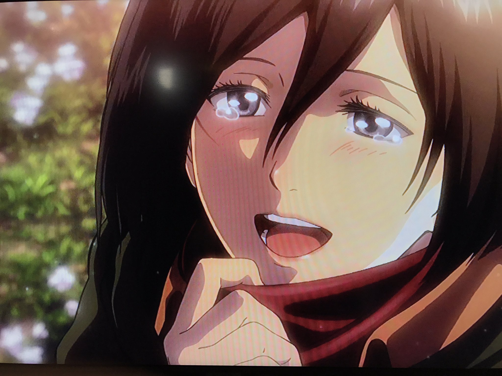 Aki Al Twitter 原作でもこのシーンのミカサは可愛かったけど この時のミカサは本当にドキッとする程可愛い 進撃の巨人 ミカサ アッカーマン T Co Qpdba9piru Twitter