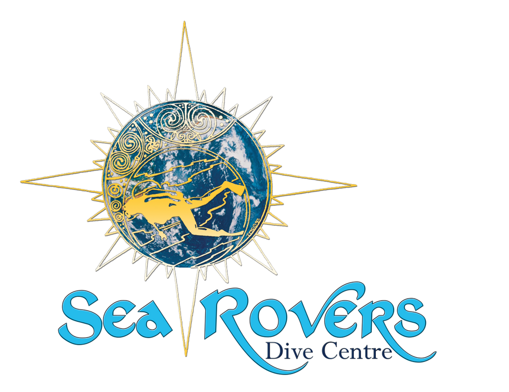 RoleFoundation's tweet photo. Sea Rovers Dive Centre, Bali is joining Clean Ocean Diveathon! https://t.co/oTEuFG4edo