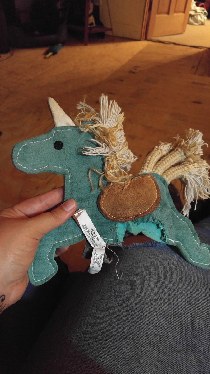 tabs3040's tweet photo. @mirandalambert this was a pretty unicorn......till my dog ate it......now is a pretty unicorn with a hole in its belly. #MuttNationMarch https://t.co/AhP174WPtL