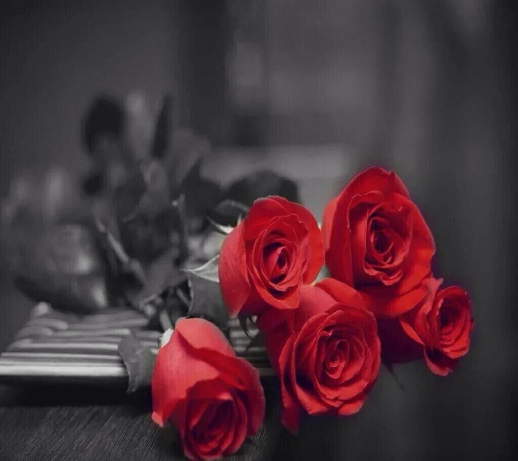 • رسآلهۂَ لٲحدهم 
• ﺗﻌوَدت عَليڪ لآﺗﺒﺘﻌد💕