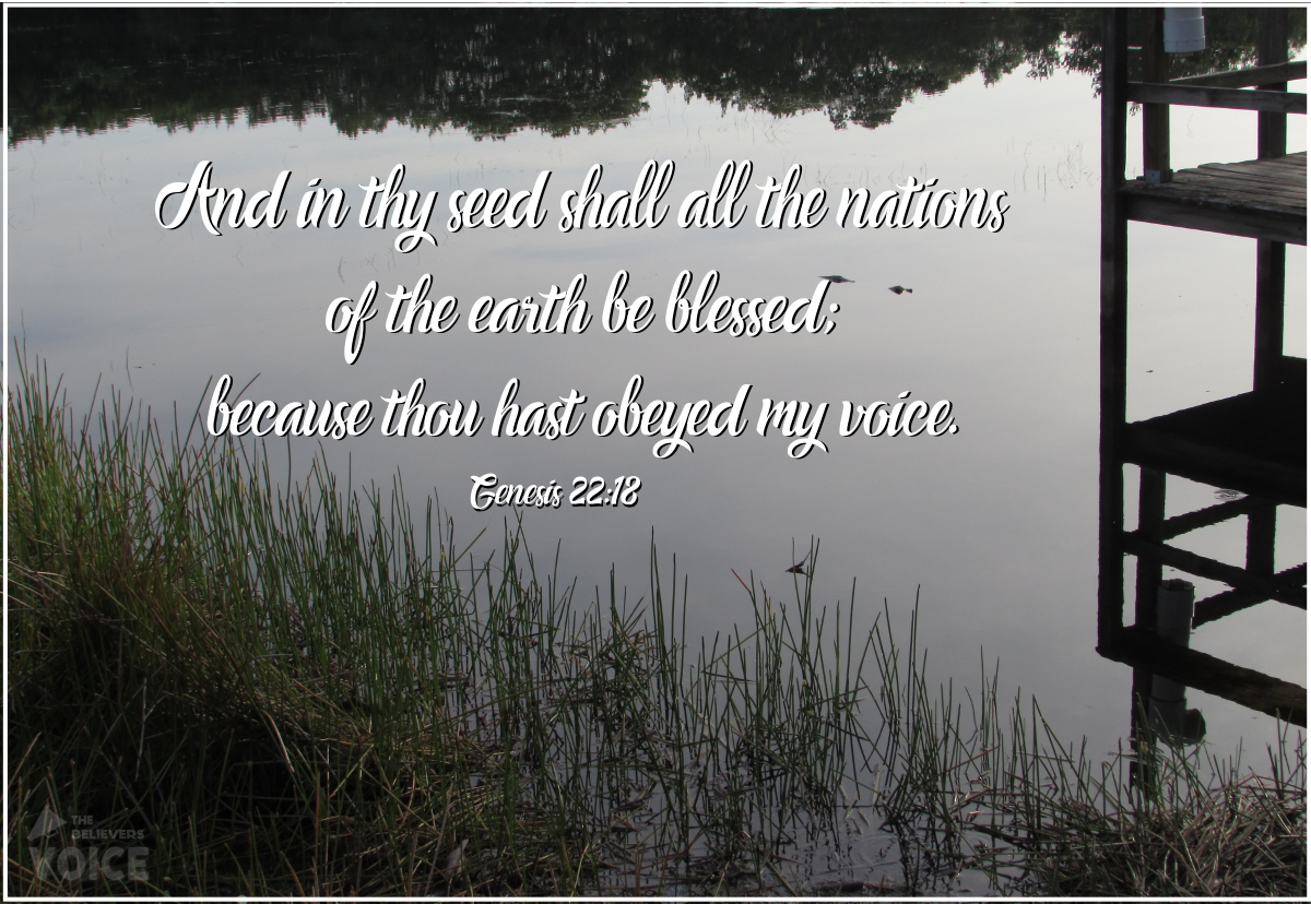TBV_Post's tweet photo. "Through your seed all the nations shall be blessed, because you have heard & obeyed My voice.โ
#FatherofFaith https://t.co/KlQimPFmj9