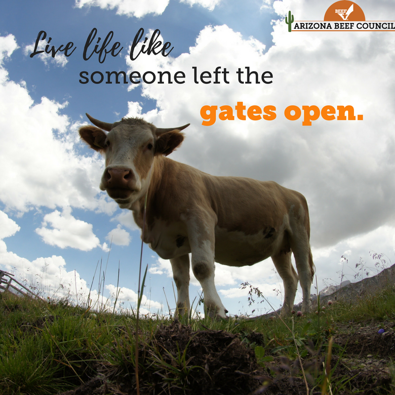ArizonaBeef's tweet photo. #RanchWisdom #azbeef #livelife https://t.co/zI3iZNsM34