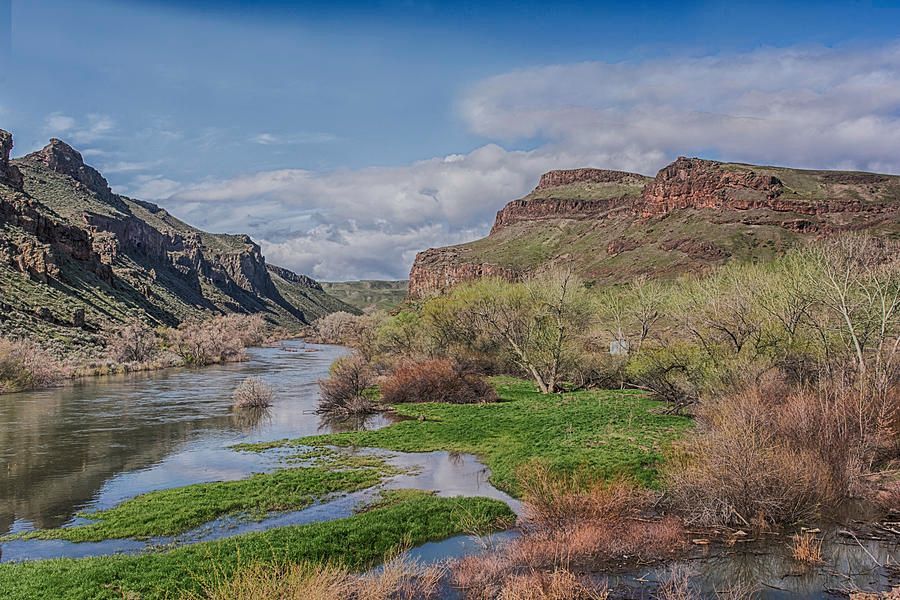williams_pam's tweet photo. Spring On The #Owhyee River by Pamela Williams #artforsale #sharepamsart #photooftheday #follow4follow #oregon
https://t.co/p2vSy5Rwqc https://t.co/gnxs8EUiGk