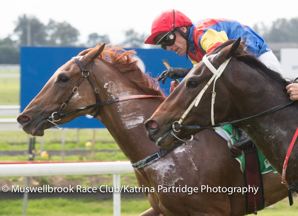 thebrookracing's tweet photo. MISS FISHER won R1 #DUBLEO @ Cangon Stud Farm Mdn Hcp #JanBowen #GregRyan RT 1.01.28 ST 36.61 Margin Lng Hd x 3/4 lngth Track Hvy 8 https://t.co/XzCxOMv6Rq