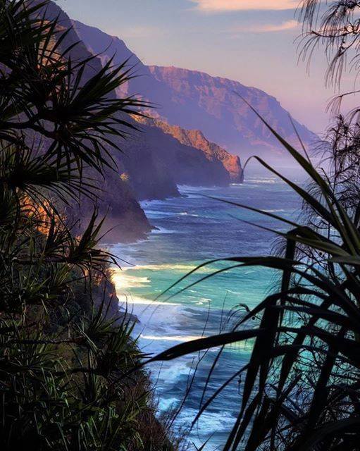 stevekrohn's tweet photo. Dreaming ....by Vincent James
via Michele Smorgon https://t.co/SBlVN8QaLe