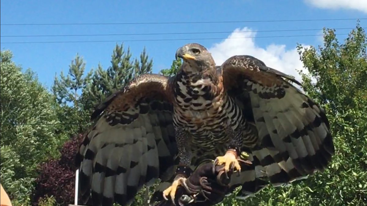 JM_SnowSoftware's tweet photo. Weekend out watching the monsters fly https://t.co/Qcr6e63D2h