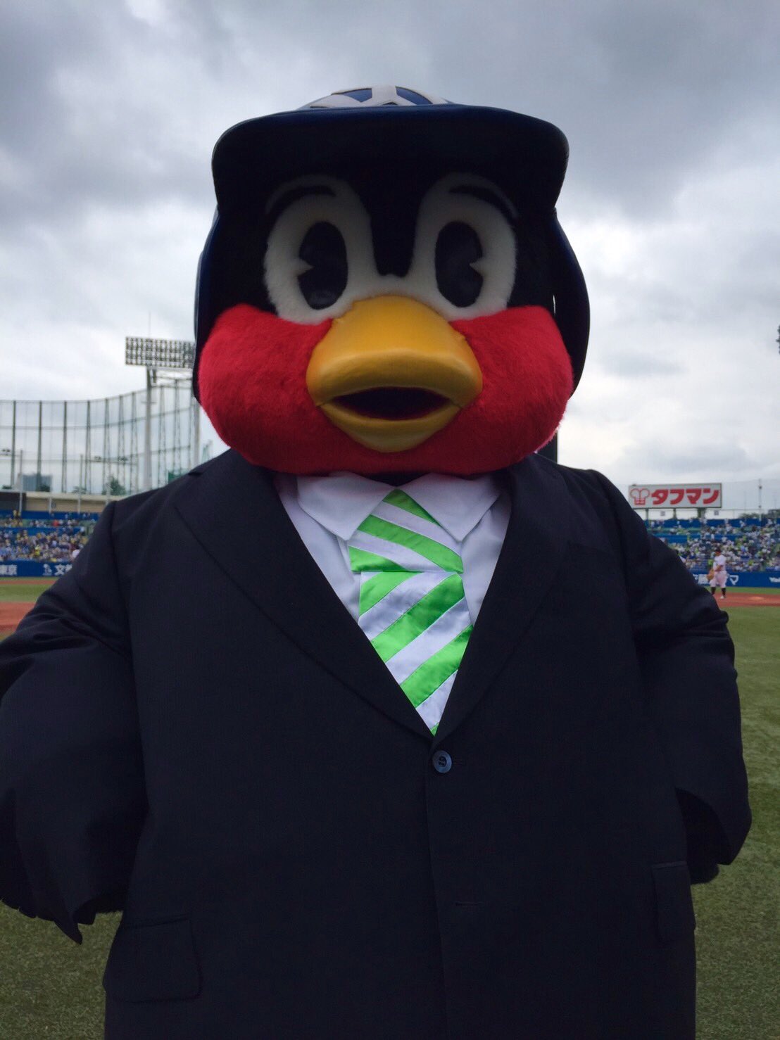 G*O様 「つば九郎の生態」　東京ヤクルトスワローズ G*O様 「つば九郎の生態」 東京ヤクルトスワローズ G*O様 「つば