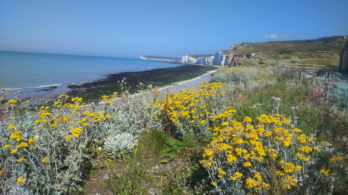 Birling Gap tweet media