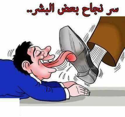 HFSHFS8 tweet picture