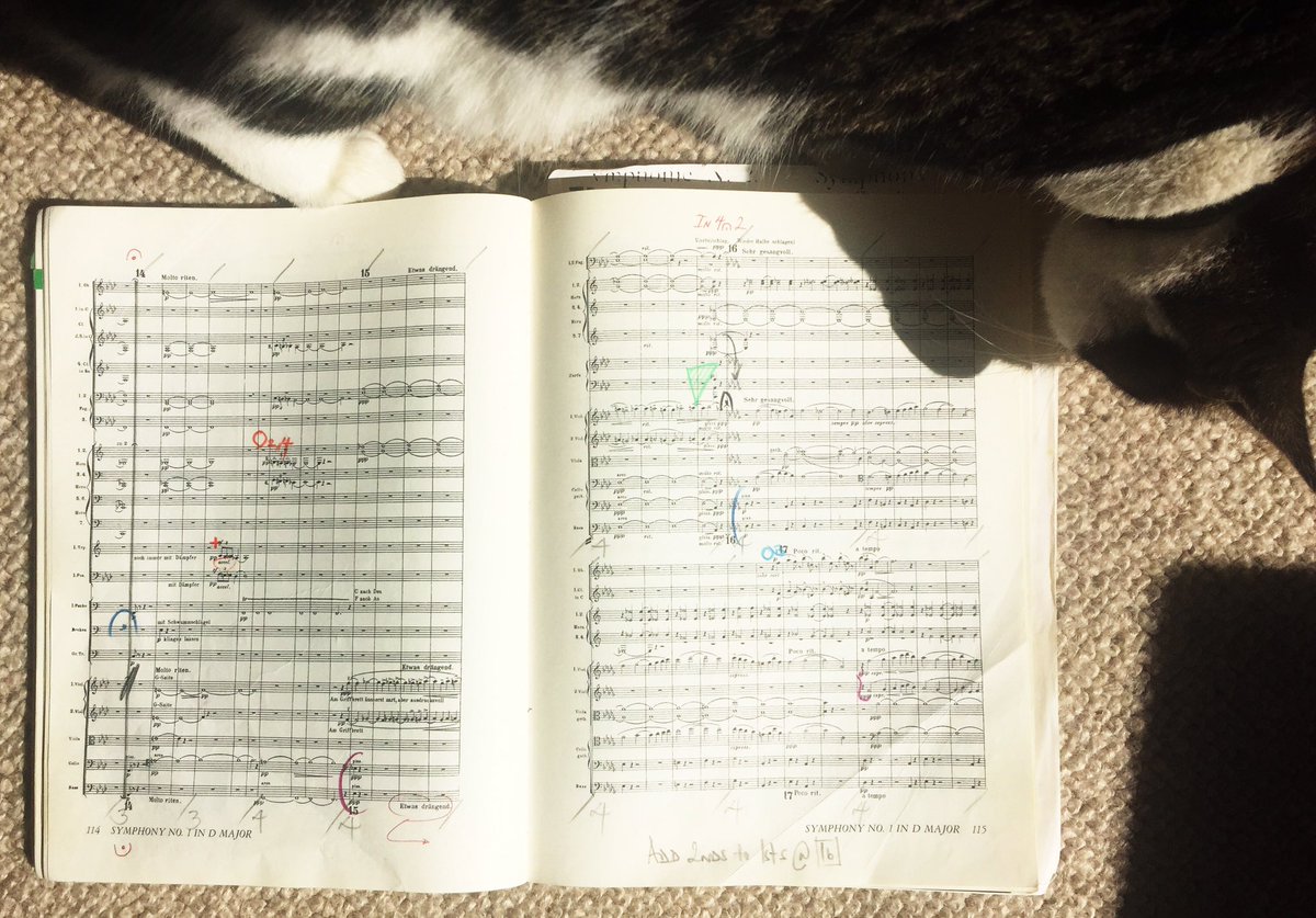 Robin_Browning's tweet photo. Last-minute #score #study.
Helped by the cat, obvs 🐱
#Mahler
#HatfieldFestival https://t.co/1fEZnqreHx