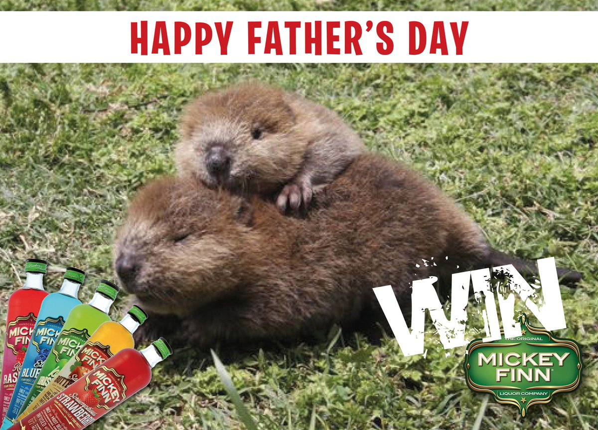 MickeyFinnLqr's tweet photo. Celebrating #FathersDay with the chance to nominate your dad to win a #BeaverFriendly Scrumptious Strawberry &amp; Beaver Tee. #TaketheMickey https://t.co/Jx4G9ajbtB