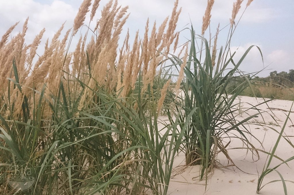 bildwasser's tweet photo. Endlich an der Ostsee angekommen... In den nächsten Tagen kommen  viele Fotos von den #phototwins #balticsea #bildwasser #travelblogger https://t.co/rgYrV7w0XB